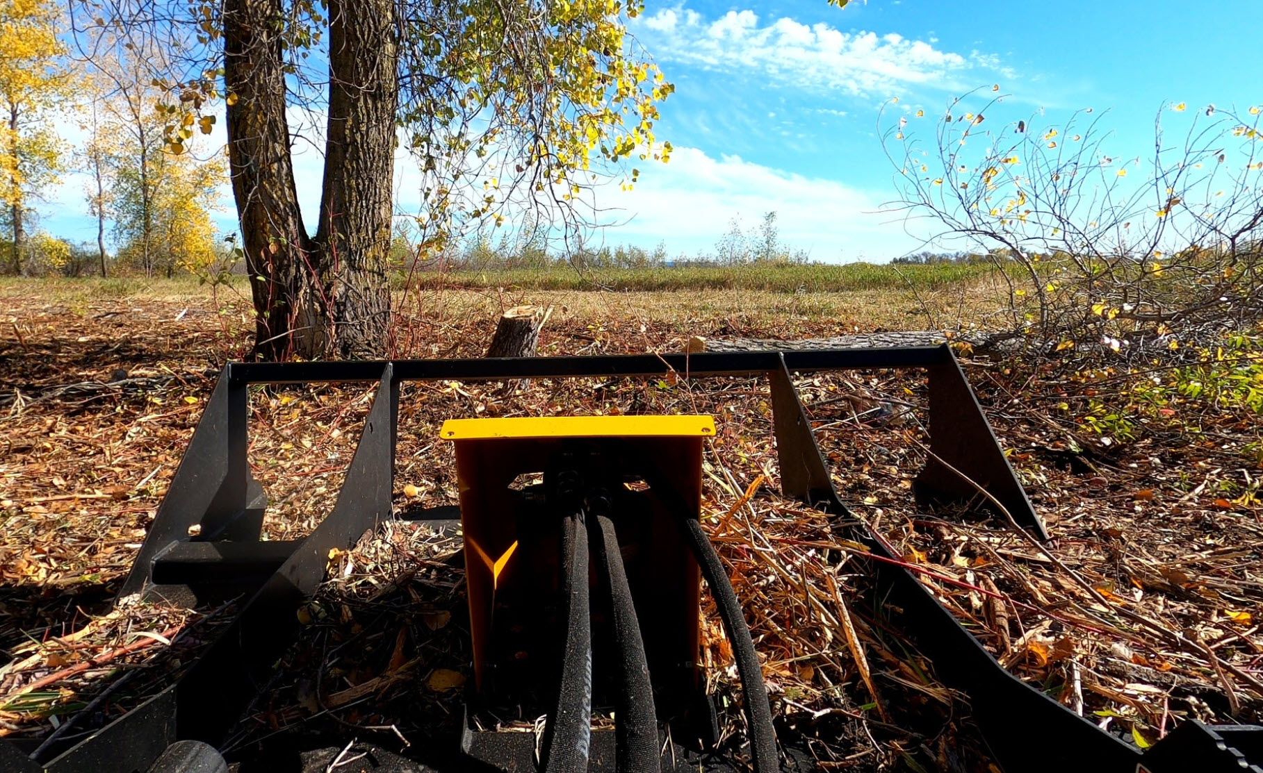 Land Clearing